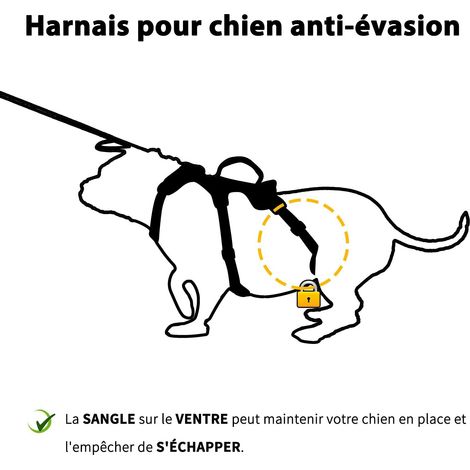Harnais pour Chien Anti-Évasion avec Poignée de Soutien et Attache Avant