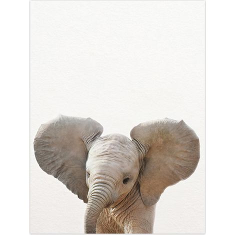 Affiche artistique représentant des bébés animaux : lion, zèbre, éléphant et girafe. Tableau sur toile avec des animaux de safari, idéal pour décorer les murs de la chambre d'enfant. (1/5)