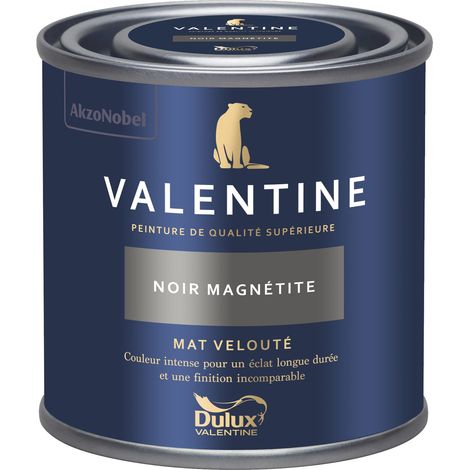 Dulux Valentine Peinture intérieure de haute qualité - Valentine - Couleur intense & pouvoir couvrant élevé - Mat Velouté Noir Magnétite 0,125 L
