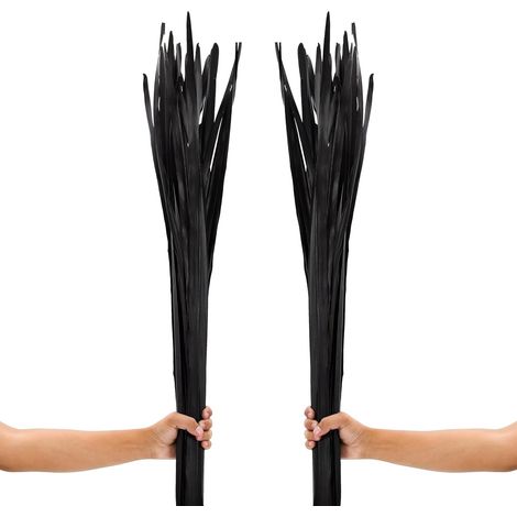 Foglie Palma Essiccate Vasi Terra Boho Nero 120 cm (1/5)