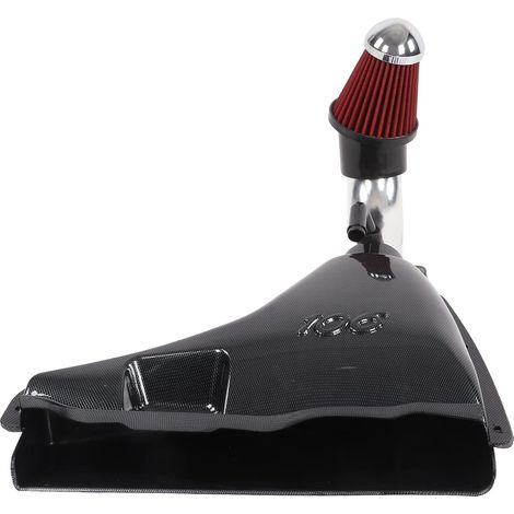 Keenso Kit de Boîte D'admission D'air de Voiture, Remplacement du Système D'admission de Filtre de Boîte D'admission D'air de Style Fibre de Carbone de Voiture pour 106 1997‑1999 S16 1.6L 16V