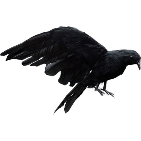 Décoration de corbeau noir pour Halloween, corbeaux réalistes à plumes, décoration de maison hantée pour fête (1/5)