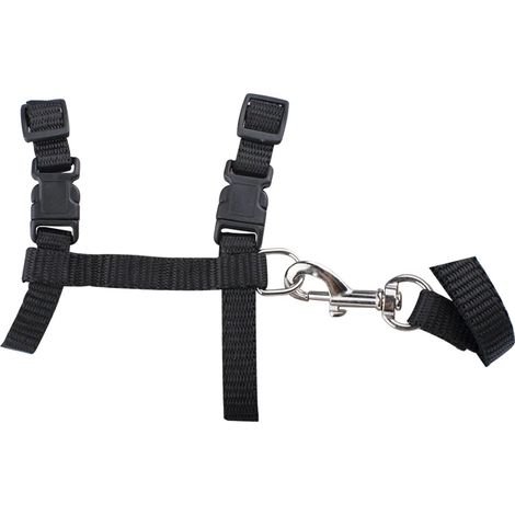 Harnais pour chat, anti-fugue, harnais souple avec laisse, harnais en nylon réglable, laisse pour chat