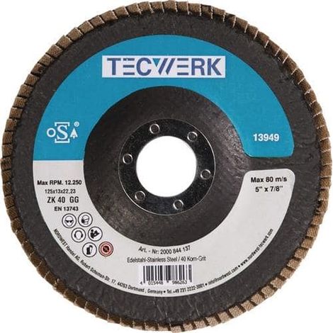 TECWERK Fächerscheibe Action D.125mm K.40 kon.INOX ZK TECWERK (1/2)