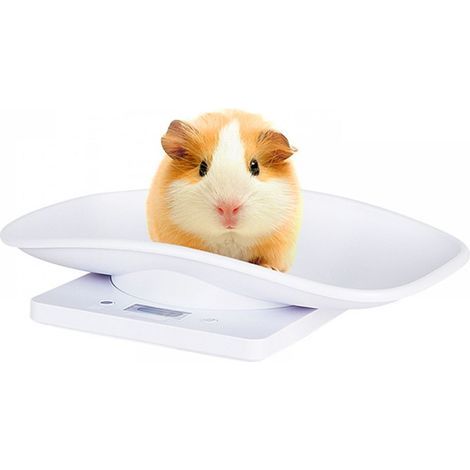 Balance électronique pour animaux de compagnie, balance pour chiots,balance précise adaptée aux petits animaux tels que les chiots (1/5)