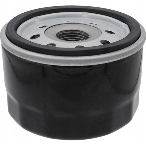Filtro olio Briggs Stratton per trattorino rasaerba 492932 696854 corto basso