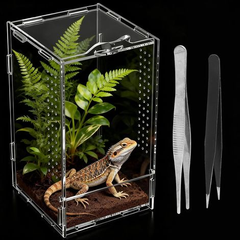 12 × 12 × 20 cm Terrarium pour Reptiles en Acrylique, Vivarium, Transparente à 360°, Mini Terrarium, Terrarium pour Reptiles et Amphibiens Lors de la Reproduction, du Stockage et de (1/5)
