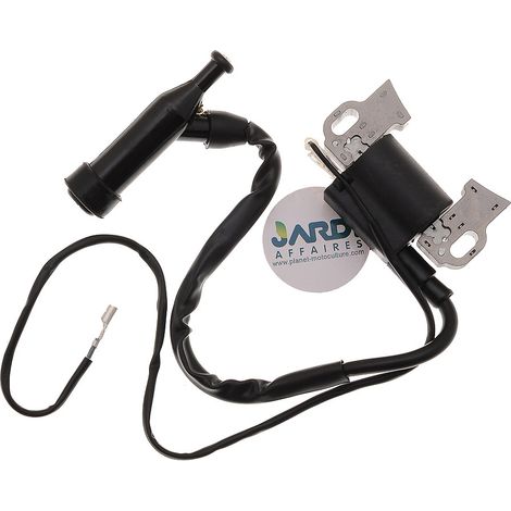 Bobine d'allumage compatible avec Honda et Loncin remplace 30500-ZF6-W03 (1/3)