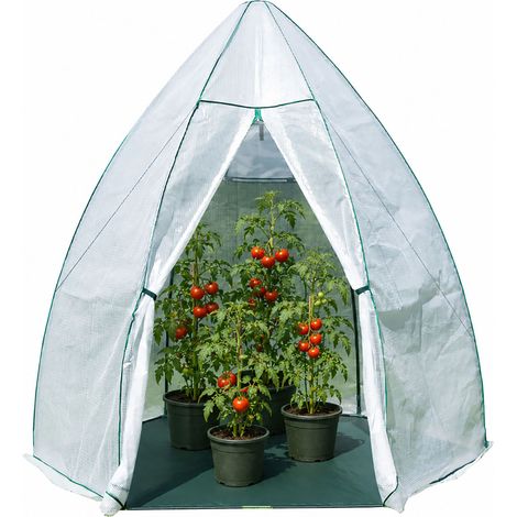 Westmann Tente d'hivernage & serre en film plastique Avocado Blanc 250x250x250 cm (1/5)
