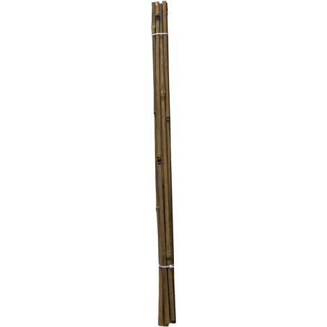 Tonkinstab 60cm Ø 6/7 mm 10er Pack Pflanzstab