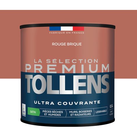 Peinture Satin Ultra Couvrante Rouge Brique 0,5 L (1/5)