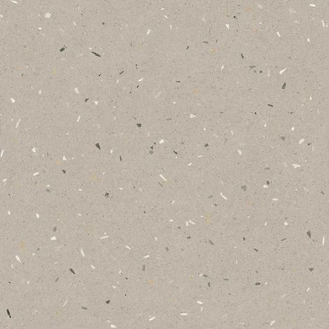 Carrelage Aspect terrazzo Aroma gris sésame 80x80 cm (1/2)