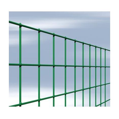 RETE ELETTR PLASTICATA 50X75 MARGHERITA CAVATORTA  MM 50X75 MM 2,1 L.MT 25 H.CM 200