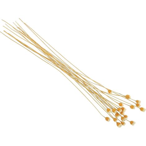 OUNONA Lot de 20 bâtonnets diffuseurs décoratifs à motif floral , recharge pour huiles essentielles (1/5)