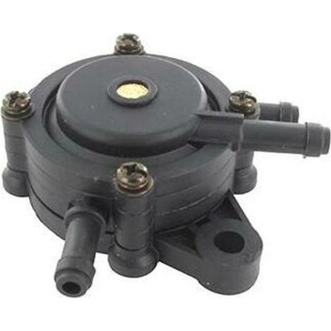 Pompe A Essence Universelle Briggs Et Stratton - 491922, 692313, 808656