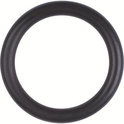 Röhm O-Ring, misura 21,82x3,53 - 006252 (1/3)