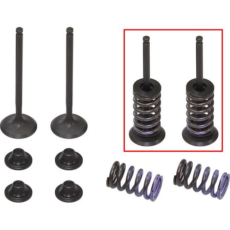 PSYCHISCHE AUSPUFFVENTILE (VENTILSATZ MIT FEDERN UND UNTERLEGSCHEIBEN) YAMAHA WRF 250 '15-'23, YZF 250 '14-'23, YZF 250 FX '15-'18 (MX-09553E)