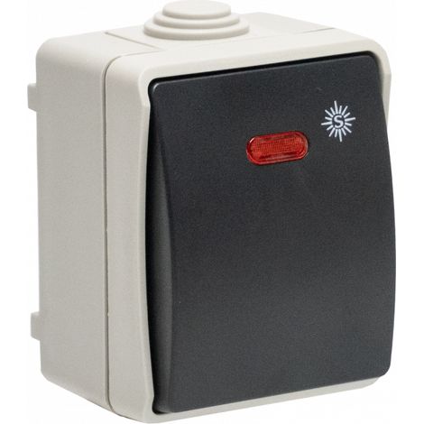 Interrupteur poussoir étanche extérieur IP54 – Montage saillie – Voyant lumineux – 10A – Thermoplastique sans halogène – Certification NF – Nalto