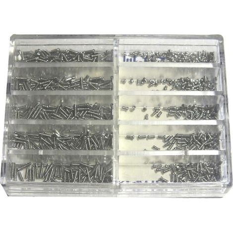 670 vis de montre professionnelles en acier inoxydable, outils de réparation disponibles en 10 tailles différentes (de 1,6 mm à 6,0 mm).