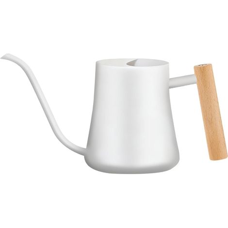 1000 ml Metal Indoor Watering Can with Long Stainless Steel Spout, White (1/5)