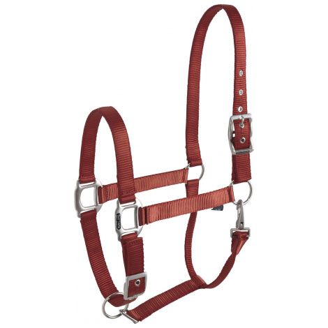 Licol 'éclat' bordeaux EQUITHÈME pour cheval