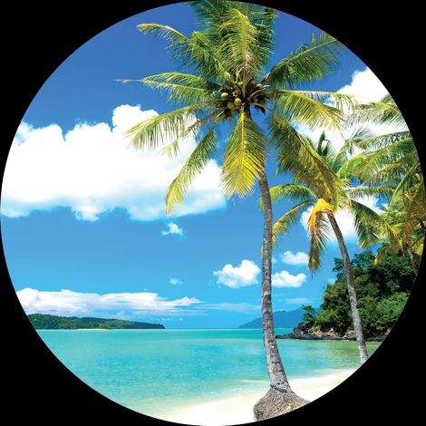 papier peint panoramique rond adhésif paysage tropical avec des palmiers bleu et vert - Sanders & Sanders (1/4)