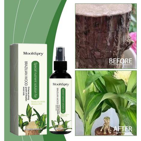 Pflanzenspezifische Nährlösung, Gründünger, Spezialdünger für Topfpflanzen wie Dracaena fragrans – 100 ml -- BIEMMEDUE (1/5)