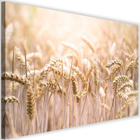 Tableau sur toile Champ de céréales Épis de blé Nature 60x40