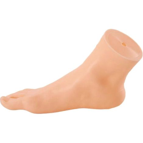 Modèle de présentoir élégant pour chaussures et bijoux, idéal pour la vente au détail et la maison.-Female Right Foot (1/5)