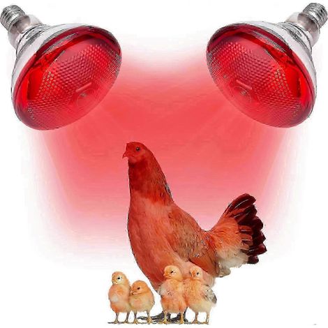Lampe chauffante pour poussins et reptiles, 220 V E27, lumière infrarouge rouge, 100 W (1/5)