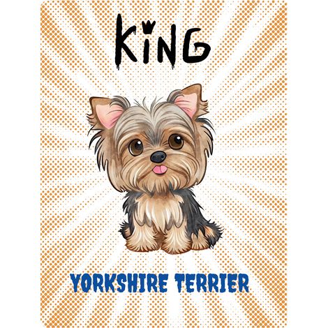 Placa del rey York - 20x28 cm
