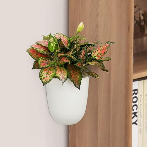 Set of 2 Corner Wall Hanging Planters Self Watering Triangle Plastic Flower Pot Plant Vase Container Holder for Succulent Indoor Outdoor Decoration (1/5)