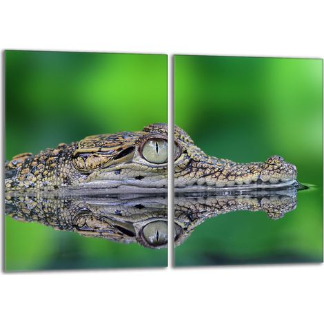 Glasschutzplatte für den Herd 2x40x52 Krokodil (1/5)