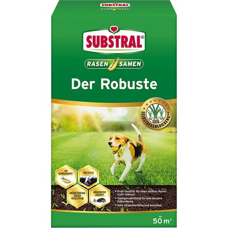 Substral Rasensamen Der Robuste 1kg (1/2)