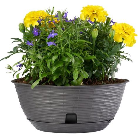 CIOTOLA PER FIORI 'PAGLIA' Ø cm 30xh.13 lt.5,8 - antracite- 10 pezzi  - BAMA