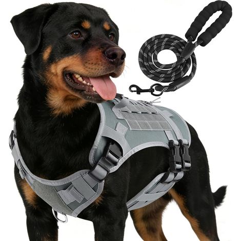 Harnais Chien Anti Traction Tactique avec Laisse Grand Chien,L (1/5)