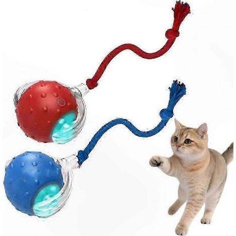 Interaktiver Ball für Hunde und Katzen, schnell rollendes Jagdspielzeug, lustiger Haustierball, anregendes Spielzubehör für Hunde und Katzen, Unterhaltung für Hunde und Katzen, rollender Haustierball (1/5)