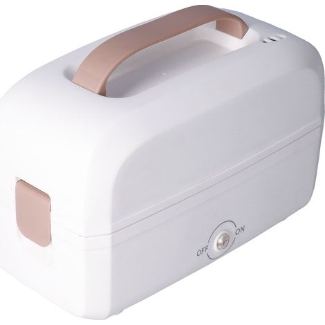 Boîte-repas électrique en acier inoxydable, chauffage rapide double couche pour bureau, école et voyage, prise UE 220V