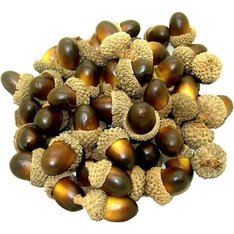 Decorazione realistica a forma di ghianda artificiale, frutta finta per la decorazione di casa e cucina, decorazione natalizia e autunnale per la tavola, artigianato, 50 pezzi (marrone scuro) (1/5)