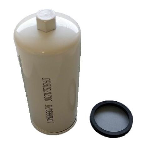 ED0021751860 - Filtre à gasoil pour Moteur KOHLER / LOMBARDINI