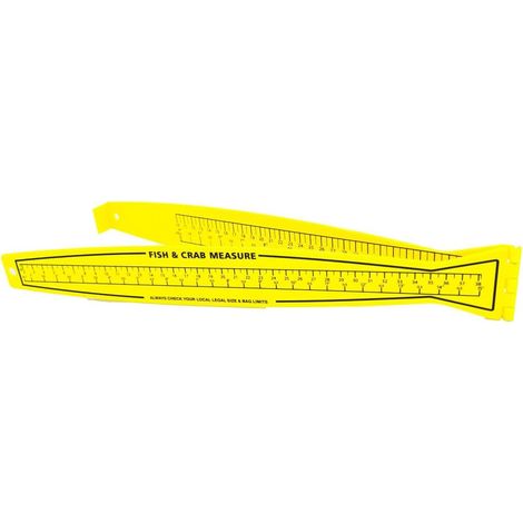 Portable folding fishing ruler, 40.49 cm - Metric and imperial measurements (1/5)