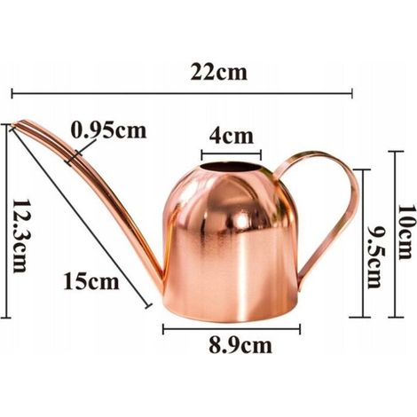 Annaffiatoio in acciaio inox per fiori, annaffiatoio da giardino, bottiglia d'acqua 500 ml, ideale per piante di casa e giardino (1/3)