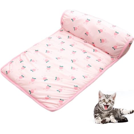 Tapis rafraîchissant pour chien et chat - Matelas de sol frais en été pour animaux de compagnie (1/5)