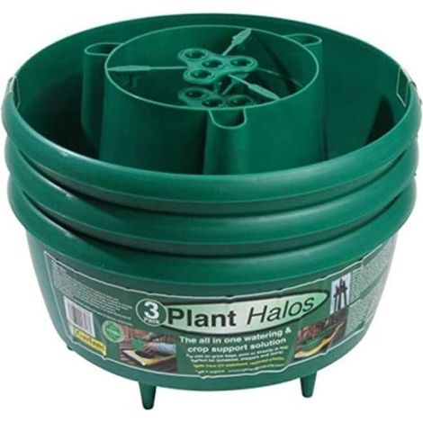 Plant Halos - Pack of 3 - Green