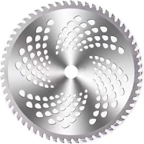 Lot de 2 lames circulaires 10 pouces 60 dents – Acier inoxydable pour débroussailleuse – Coupe nette des broussailles – Compatible avec Husqvarna, Stihl, Ego (1/5)