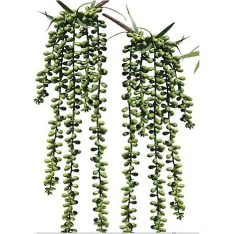 2Pcs Artificielle Suspendus Succulentes Faux Burro's Tail Picks Trailing String of Pearls Succulents Faux Verdure Floral Arrangement (1/4)