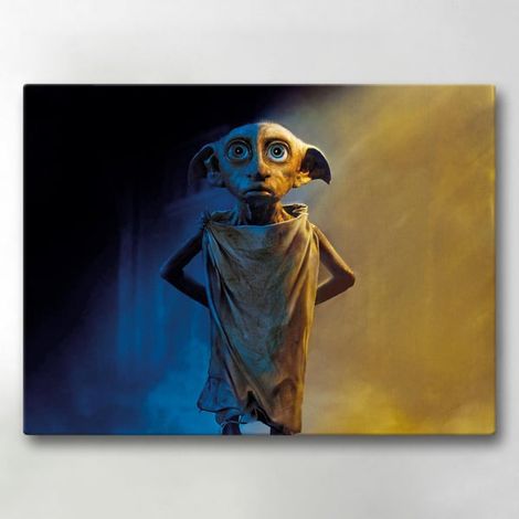 Toile / Peinture - Harry Potter - 40x30 cm - Toile (1/5)
