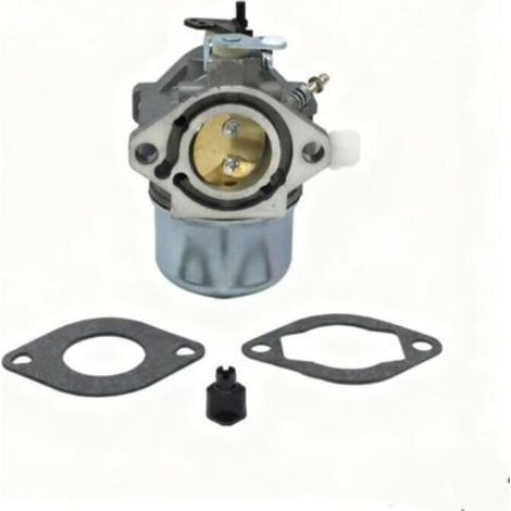 Carburateur 699831 pour pompe d'accélération à économie de carburant Briggs Stratton 283702 694941 (1/4)