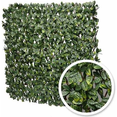 Treillis extensible feuilles de laurier amande - Long 2 m, Hauteur 3 m (1/3)