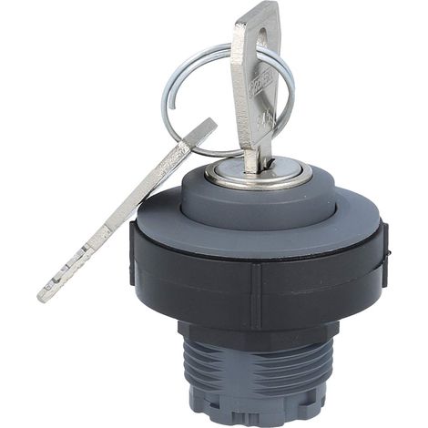 Georg Schlegel interrupteur à clé maintenu circulaire, KOMBITAST-R-JUWEL Éclairé: Non Marquable: Non - 1 Stück (1/2)